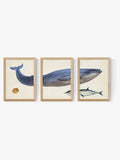 East End Prints black whale wall art prints set of 3 - British product