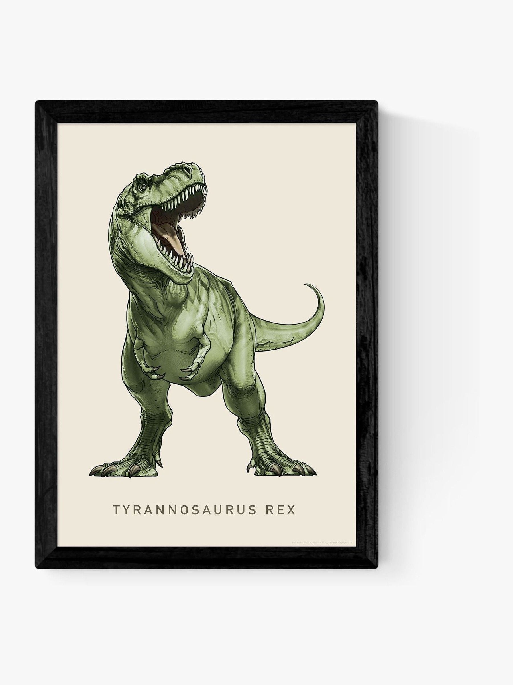East End Prints Black Tyrannosaurus Rex art print - British product