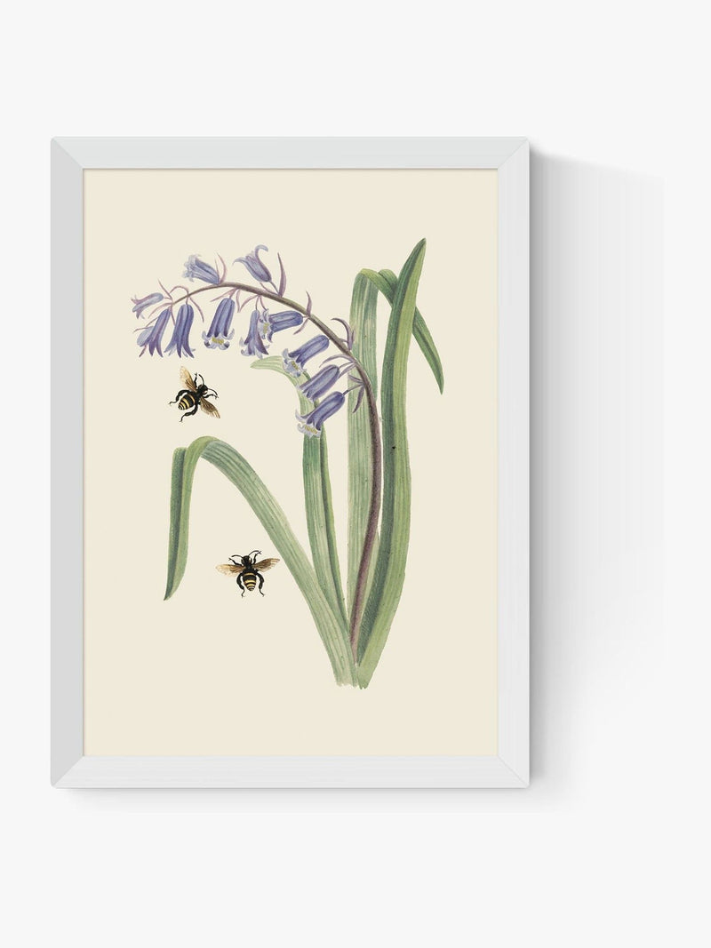East End Prints white bee and wild hyacinth wall art - British product