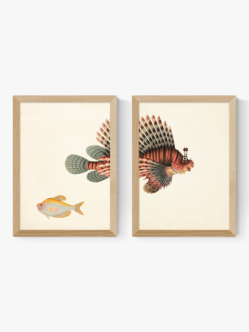 East End Prints oak fish wall art prints - British product
