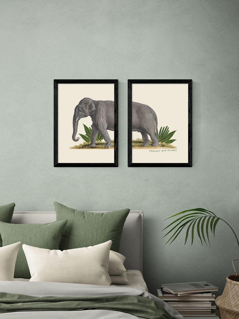 East End Prints Set of 2 Black Elephant Wall Art Prints by Natural History Museum