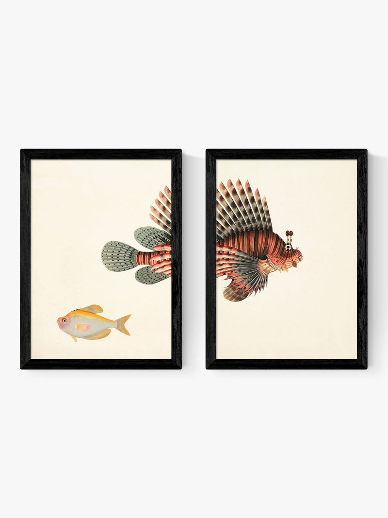 East End Prints oak fish wall art prints - British product