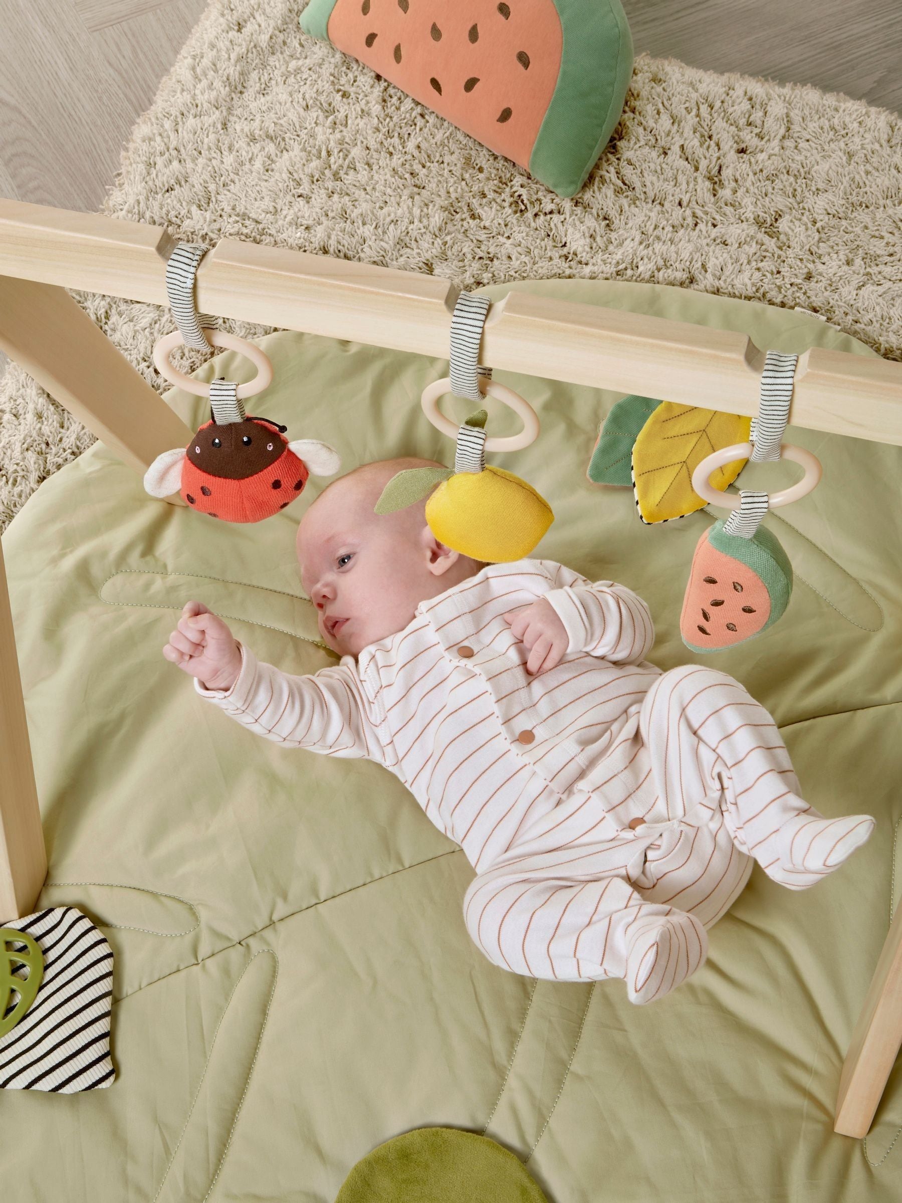 Mamas & Papas Born To Be Wild play arch one - British product