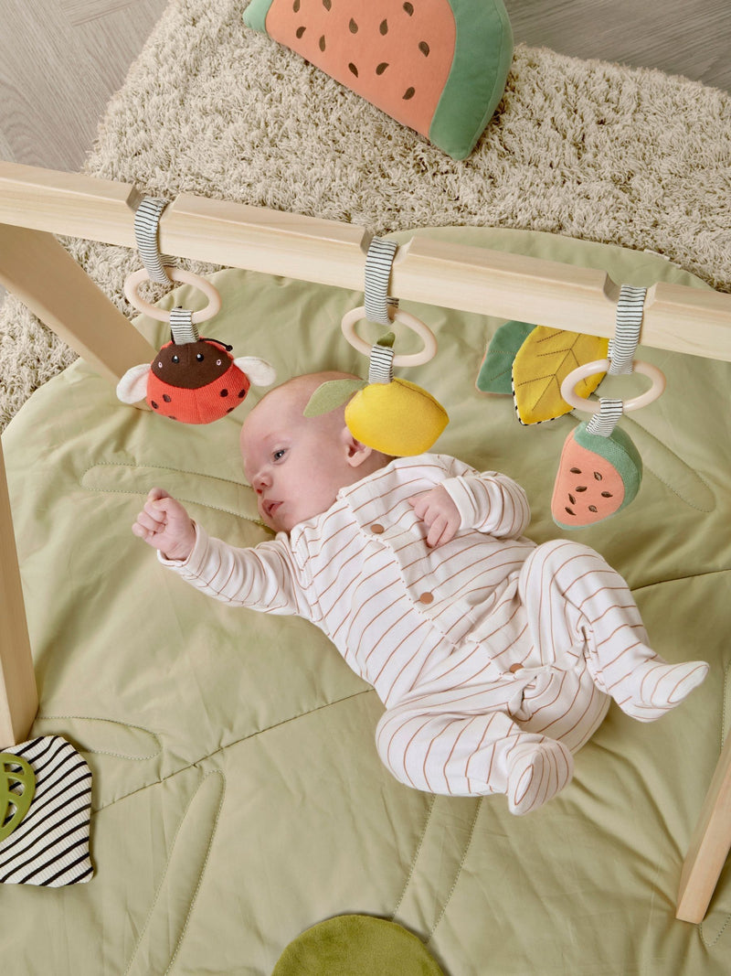 Mamas & Papas Born To Be Wild play arch one - British product