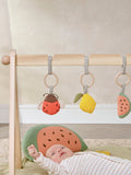 Mamas & Papas Born To Be Wild play arch one - British product