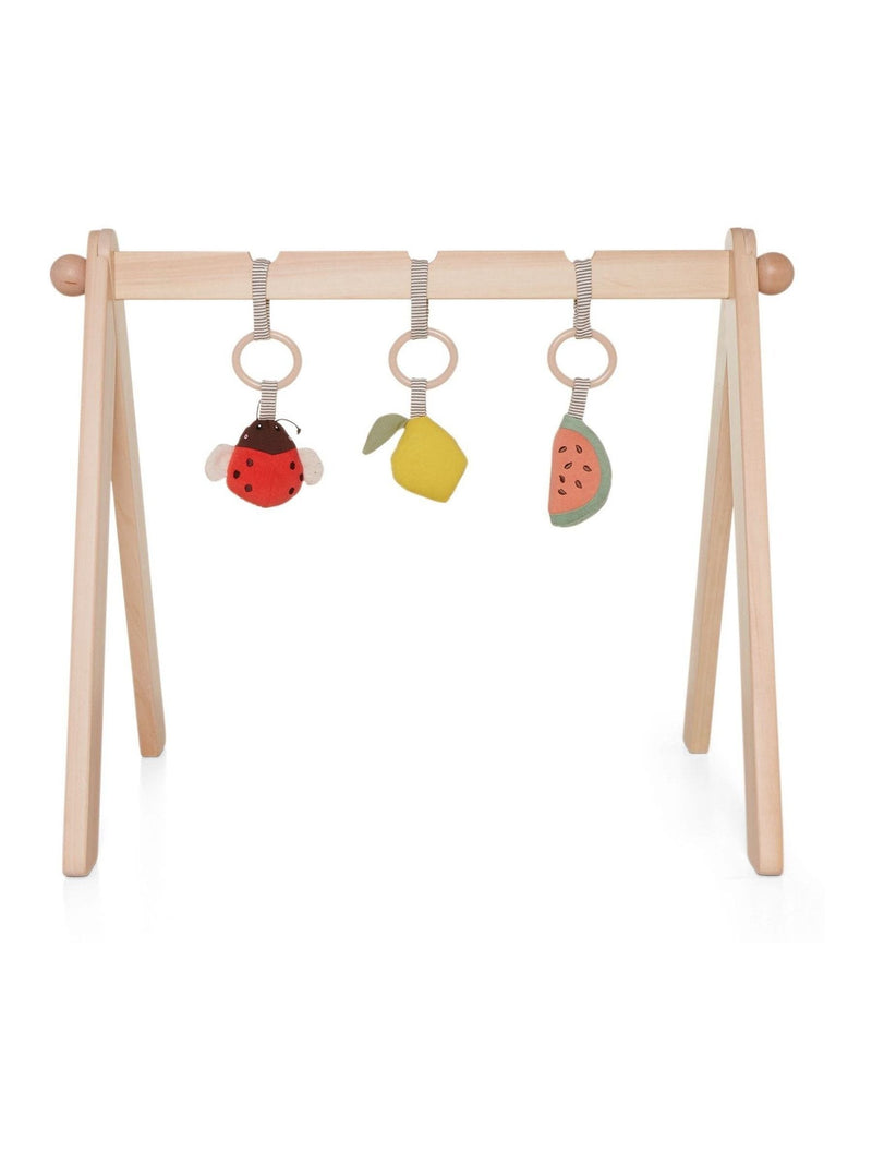 Mamas & Papas Born To Be Wild play arch one - British product
