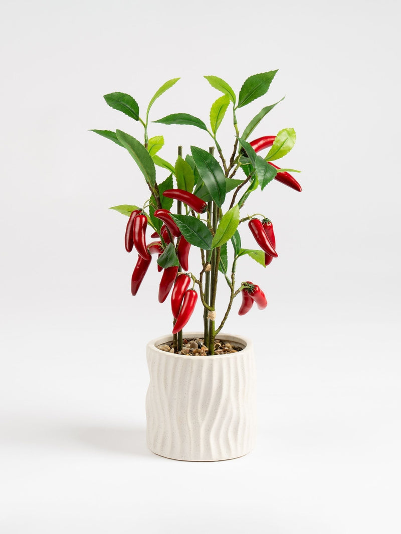 Scottish Everlastings green artificial chilli plant 49cm, UK version