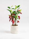 Scottish Everlastings green artificial chilli plant 49cm, UK version