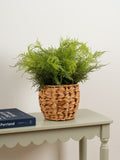 Scottish Everlastings artificial fern in basket 43cm, imported from the UK