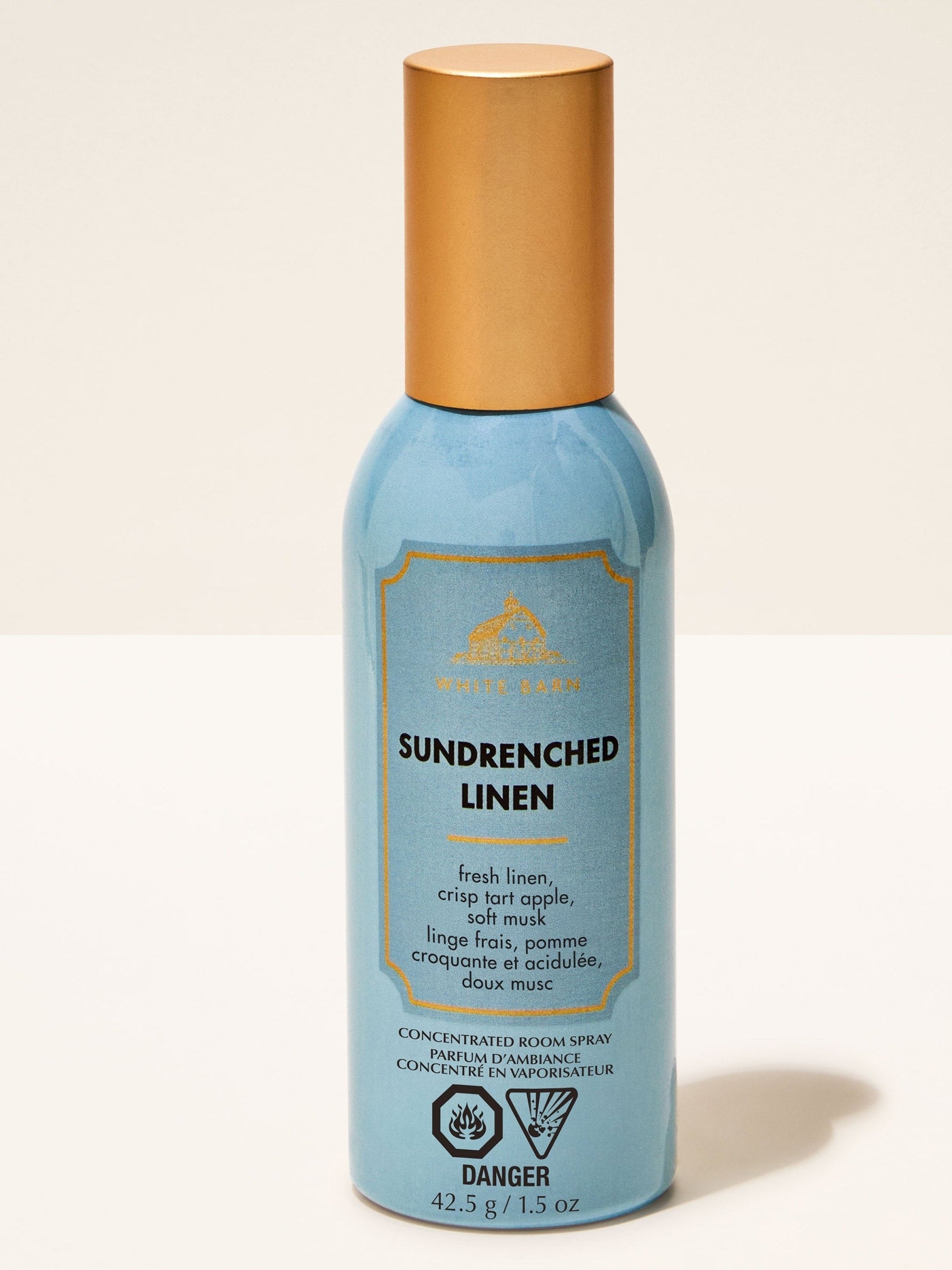Bath & Body Works Ocean Concentrated Room Spray