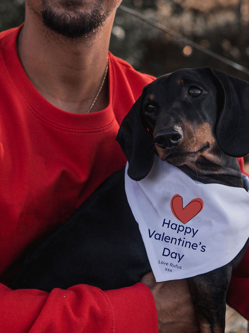Solesmith Valentine dog bandana white red heart, UK version