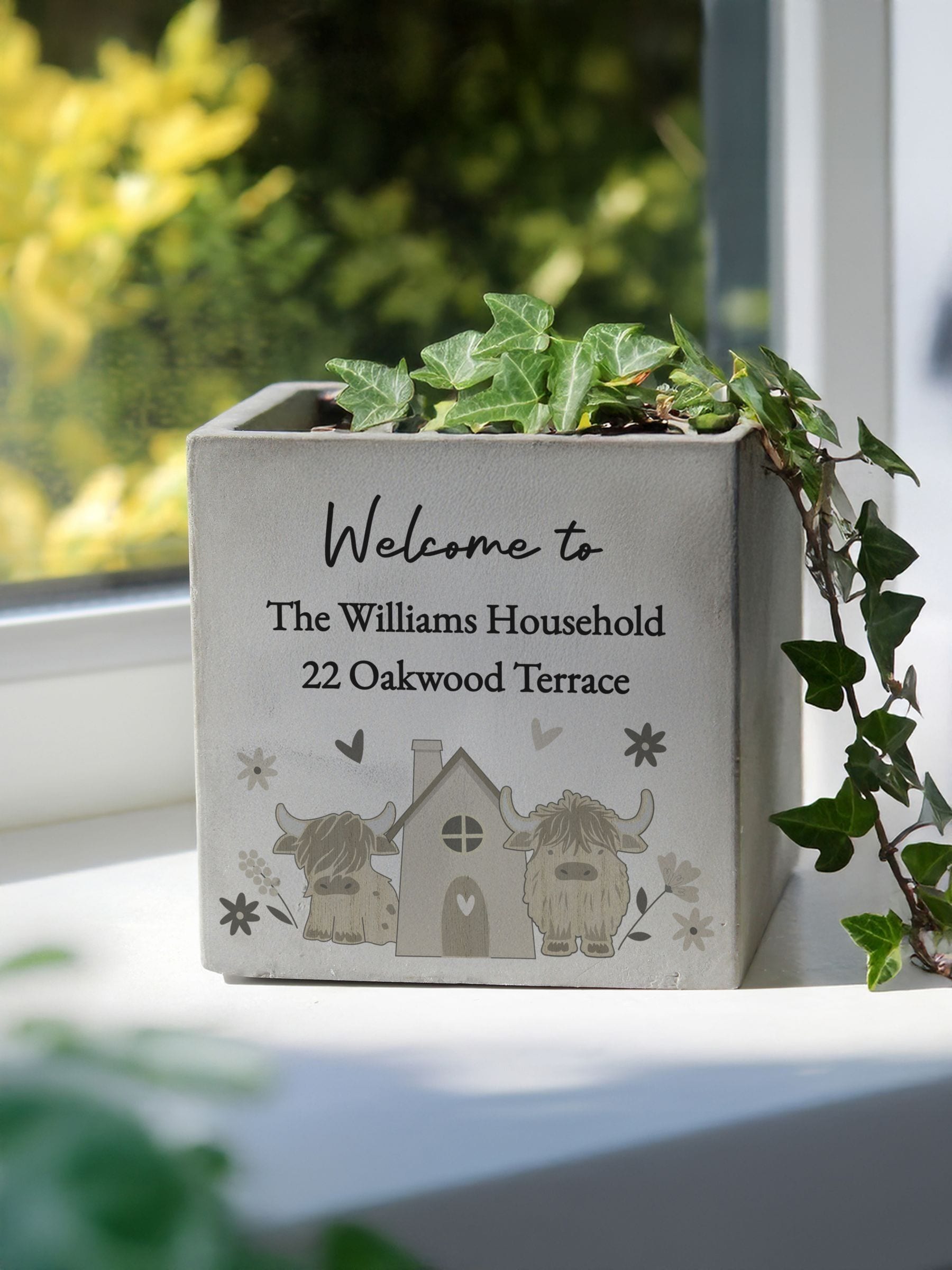 PMC personalised highland cow concrete plant pot miniature, UK version
