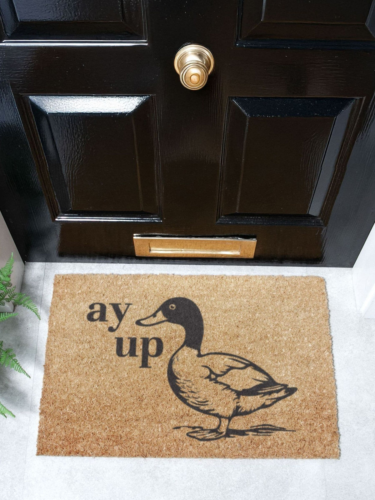 Artsy Mats Ay Up Duck doormat 60x40cm - British product