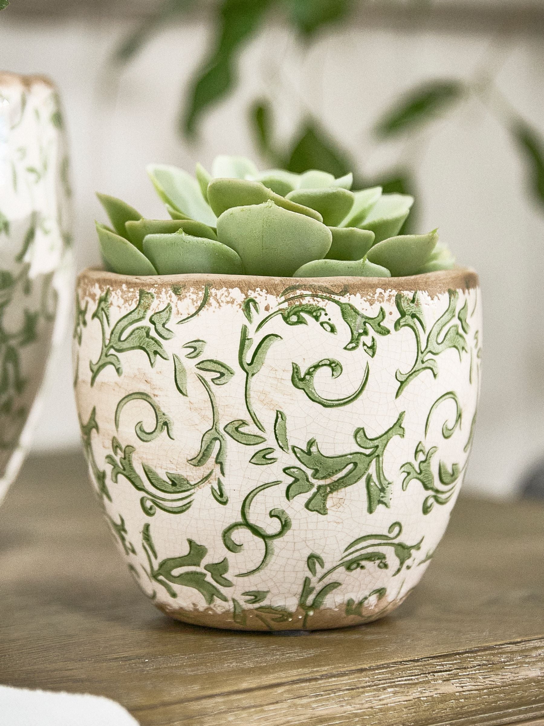 Dibor Green Botanical Ceramic Plant Pot