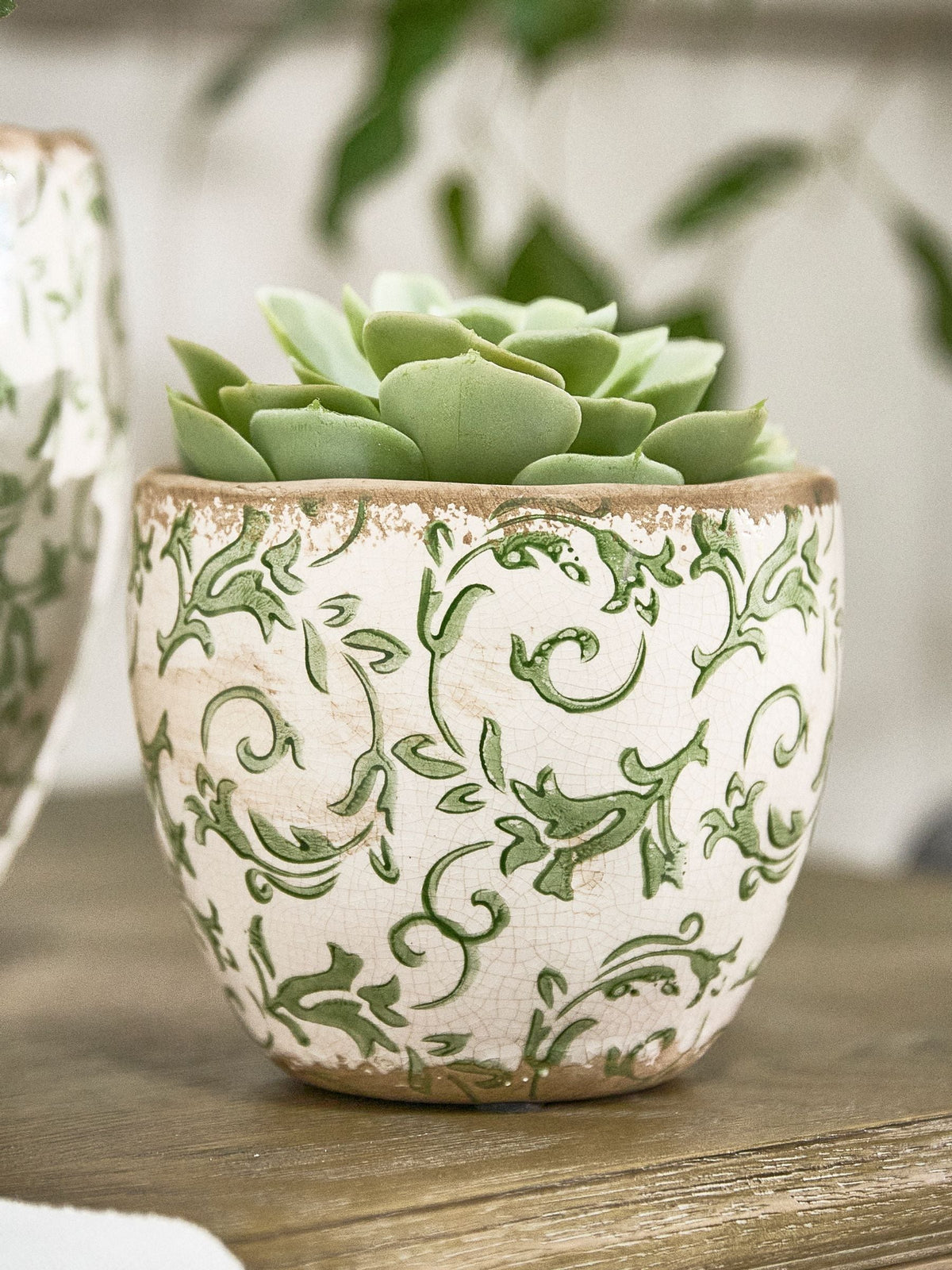 Dibor Green Botanical Ceramic Plant Pot