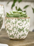 Dibor Green Botanical Ceramic Plant Pot