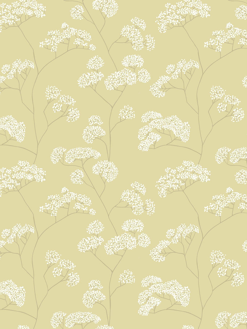 Hoopla Walls Pear Elderflower Trail 10M Wallpaper