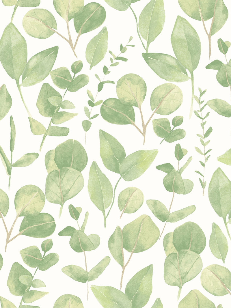Hoopla Walls sage watercolour leaves wallpaper sample A4, UK version