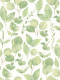 Hoopla Walls sage watercolour leaves wallpaper sample A4, UK version