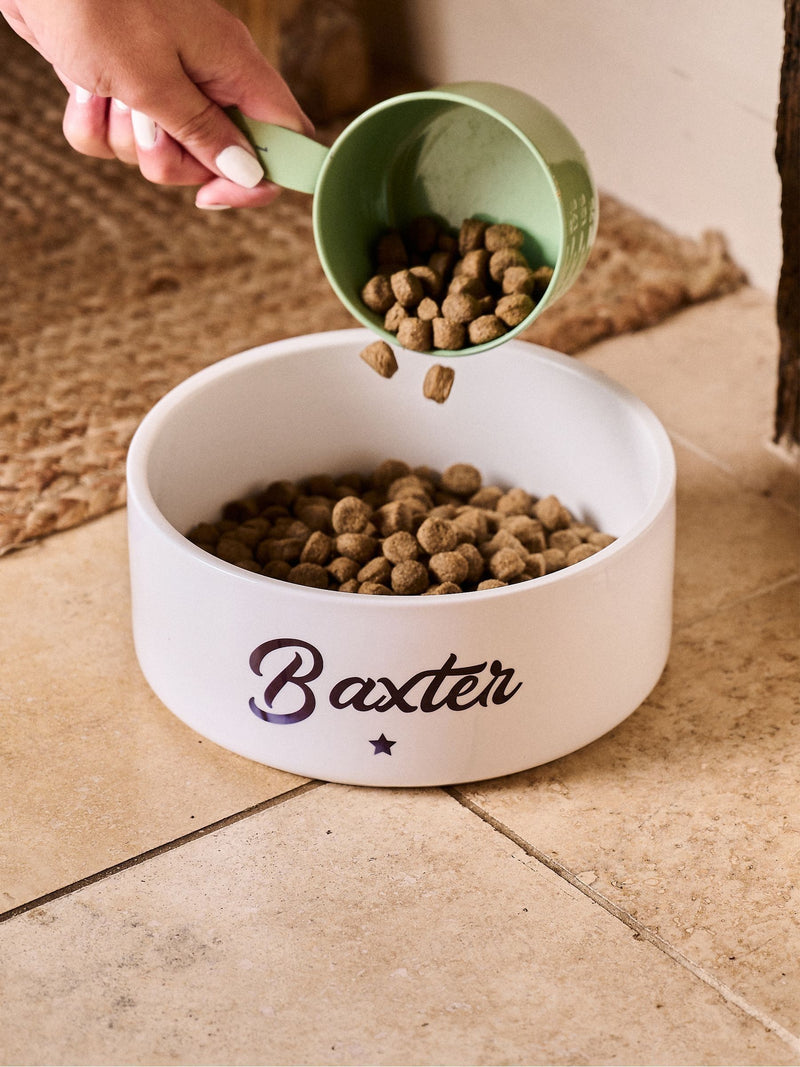 No Ordinary Gift small personalised star pet bowl, UK version