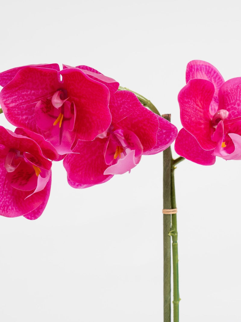 Scottish Everlastings Ltd artificial pink orchid 40cm - British product