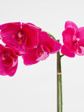 Scottish Everlastings Ltd artificial pink orchid 40cm - British product