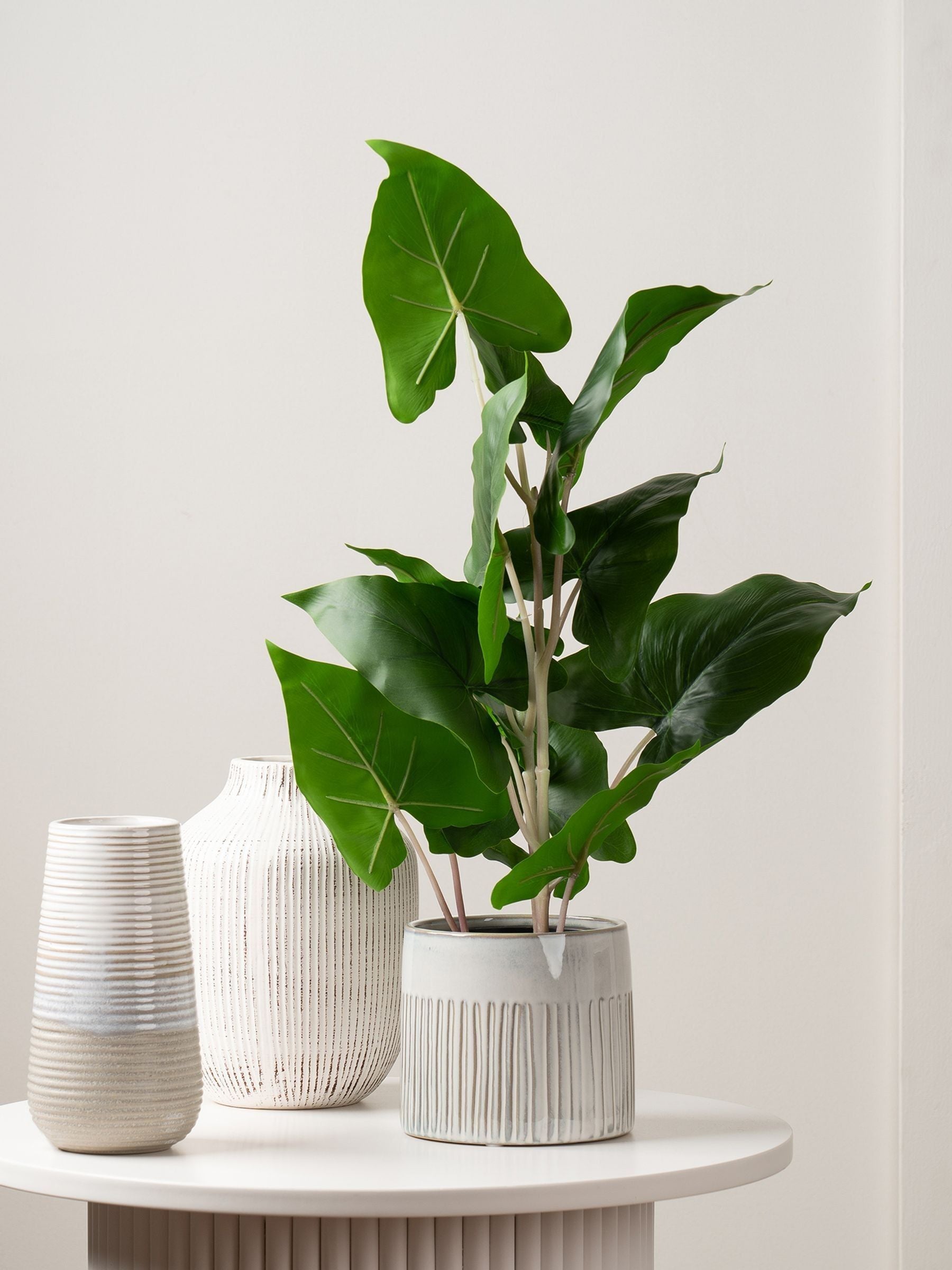 Scottish Everlastings green artificial typhonium plant 48cm (British brand)