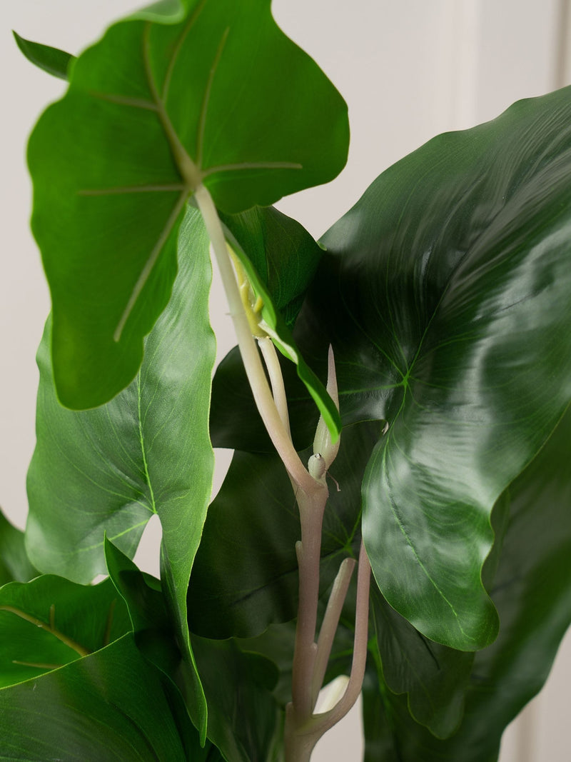 Scottish Everlastings green artificial typhonium plant 48cm (British brand)