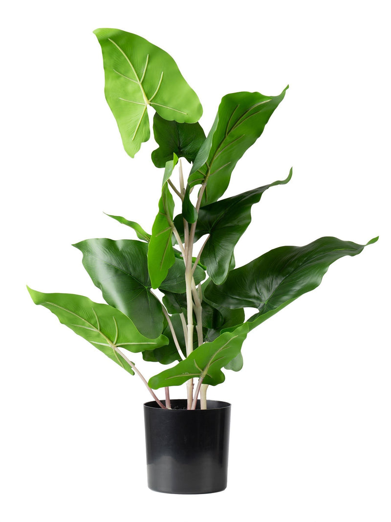 Scottish Everlastings green artificial typhonium plant 48cm (British brand)