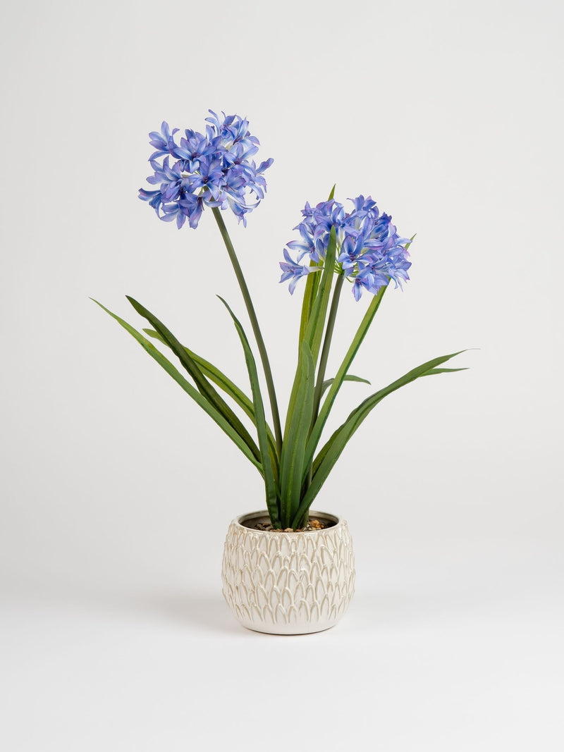 Scottish Everlastings artificial blue hyacinth 64cm, imported from the UK