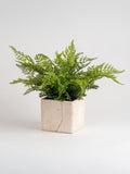 Scottish Everlastings artificial fern in travertine pot, imported from the UK