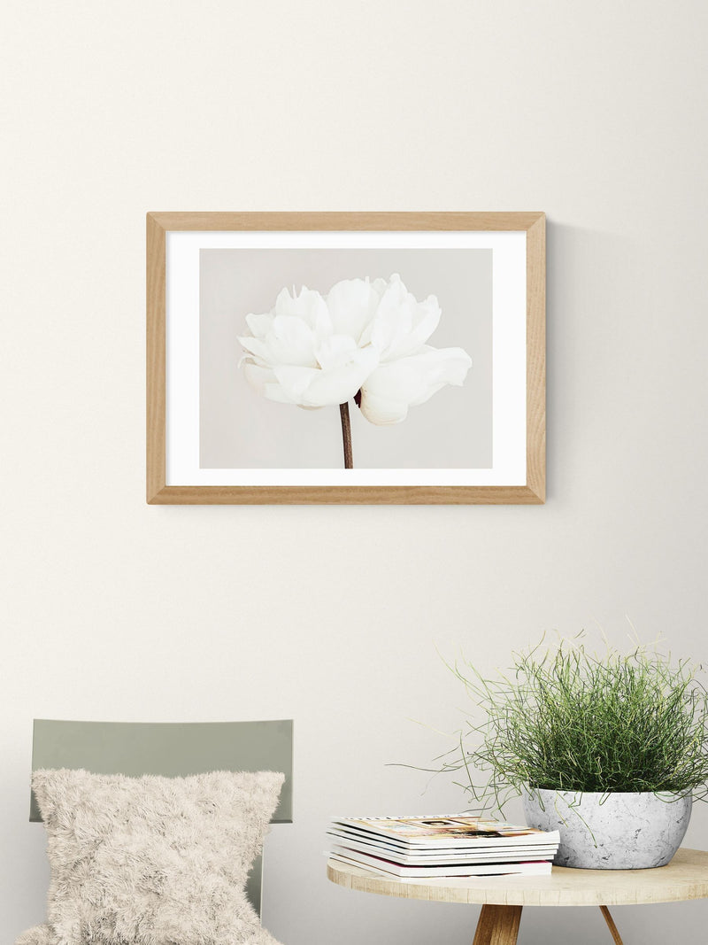 East End Prints Oak White Bloom Serenity Wall Art Print by 1x Gallery