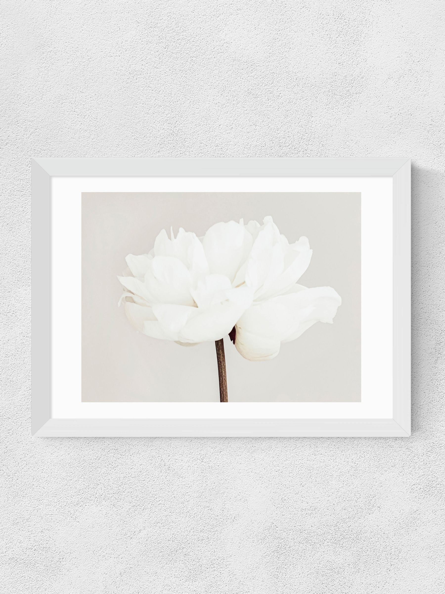 East End Prints White Bloom Serenity wall art print (British brand)