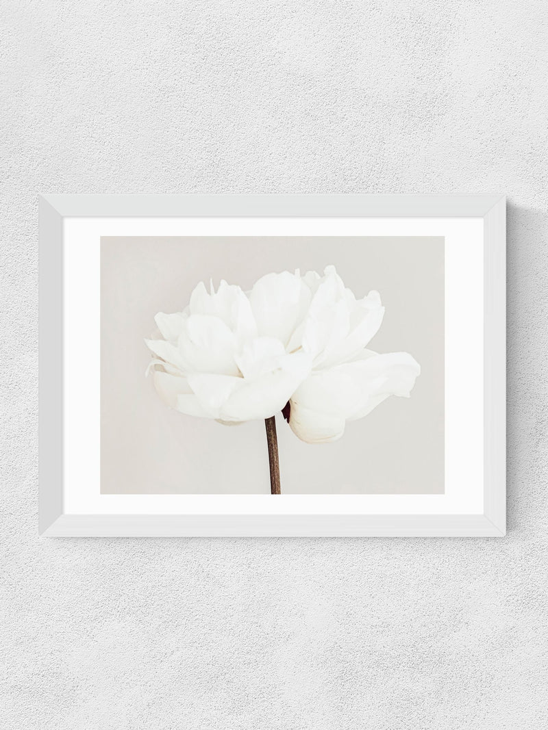East End Prints White Bloom Serenity wall art print (British brand)