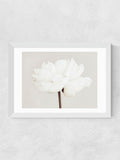 East End Prints White Bloom Serenity wall art print (British brand)