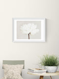 East End Prints White Bloom Serenity wall art print (British brand)