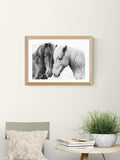 East End Prints Horse Love wall art print, imported from the UK