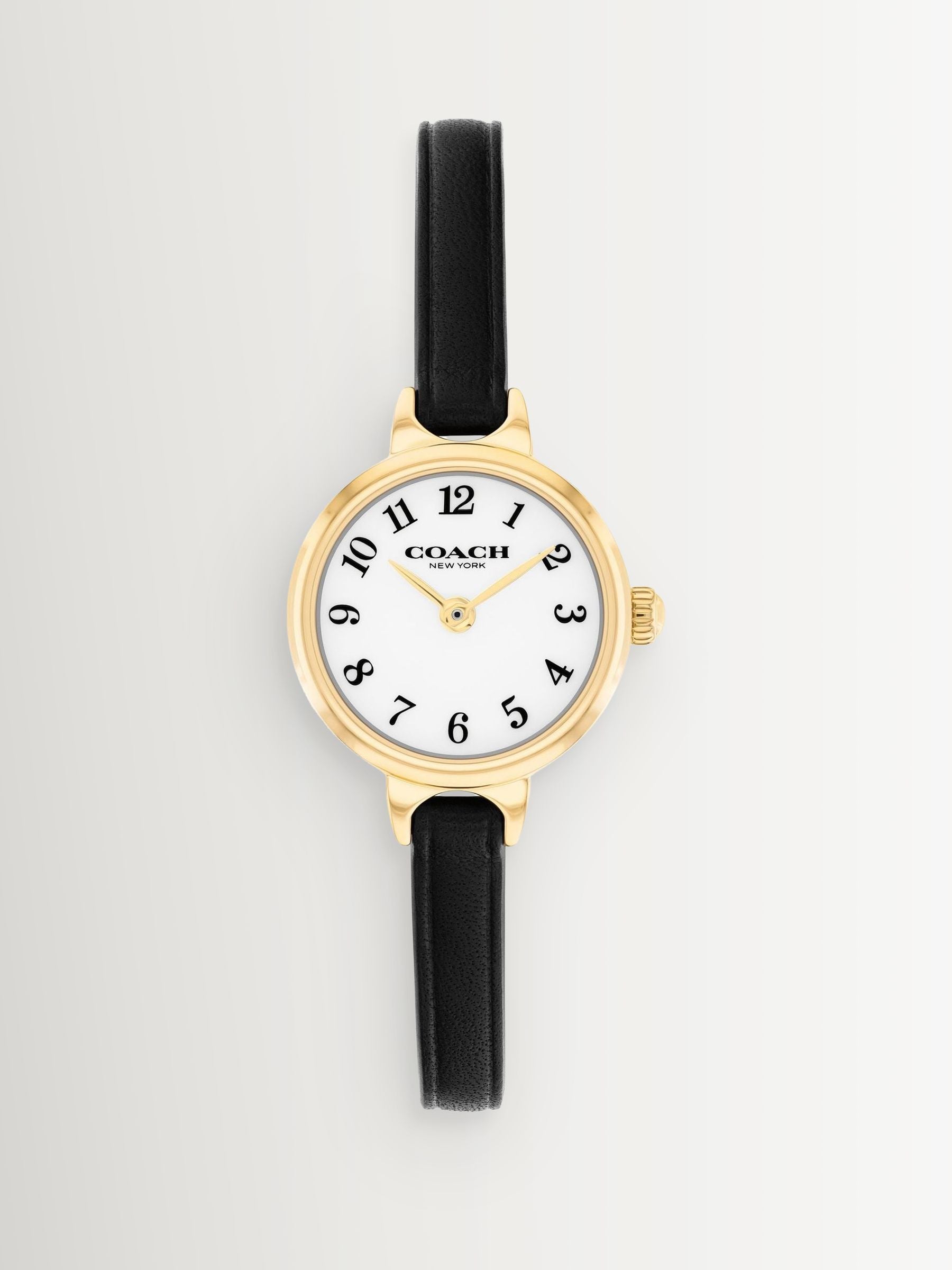 COACH Iris watch 22mm leather strap, imported from the UK