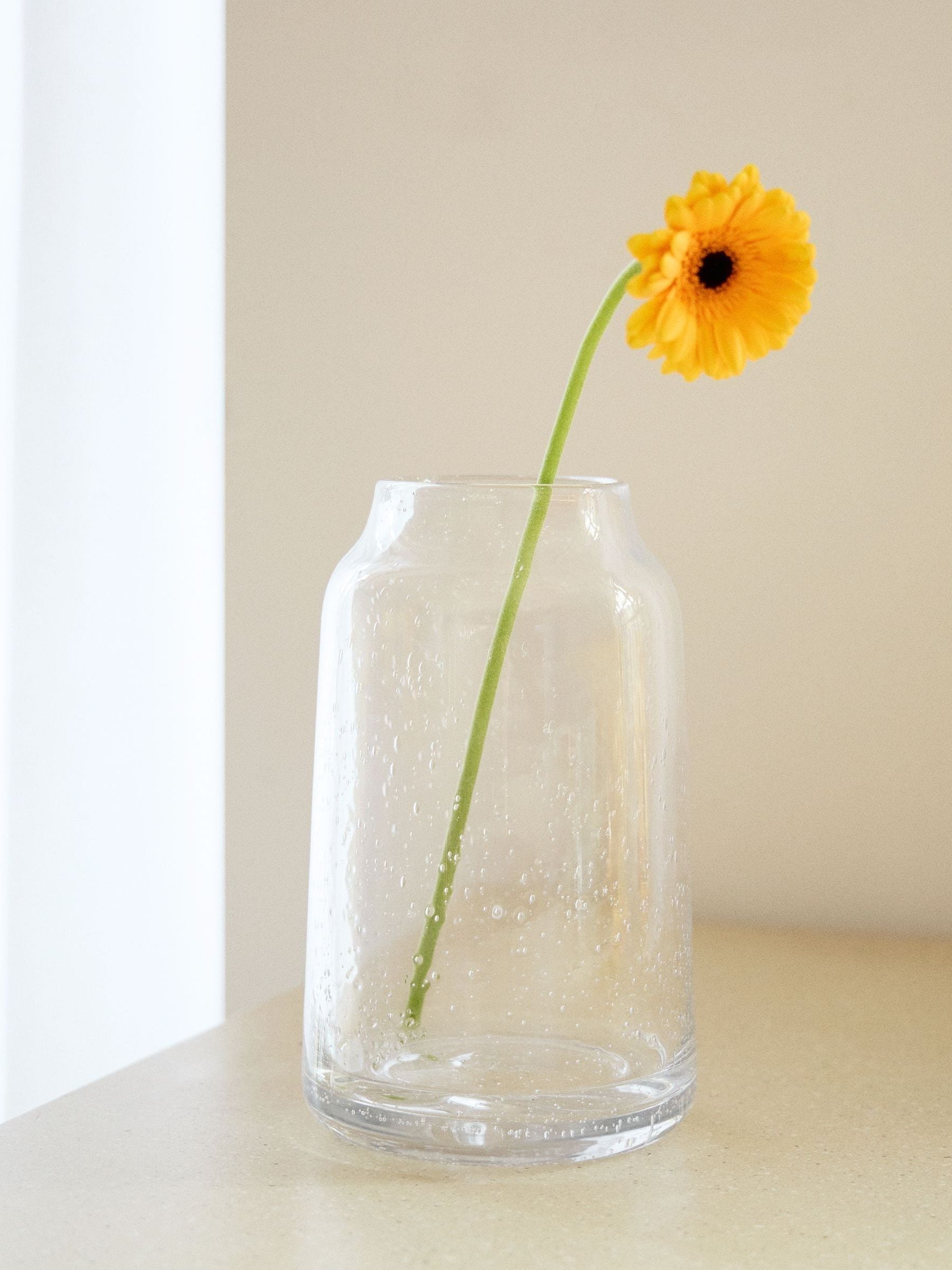 The Conran Shop Pod Bubble Vase 27cm clear glass, UK version