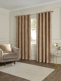 Paoletti champagne lustre velvet cushion 50x50 cm (British brand)