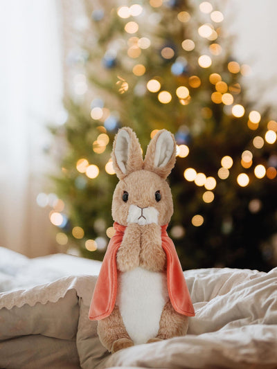 Next Peter Rabbit Orange Flopsy Large Plush Toy- Buy online at McGrocer