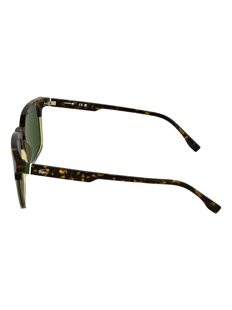 Lacoste brown L6074S sunglasses global XL fit, imported from the UK