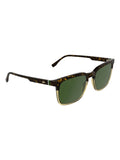 Lacoste brown L6074S sunglasses global XL fit, imported from the UK