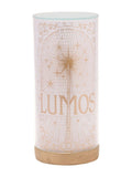 Harry Potter Lumos tube light gold wand design, UK version