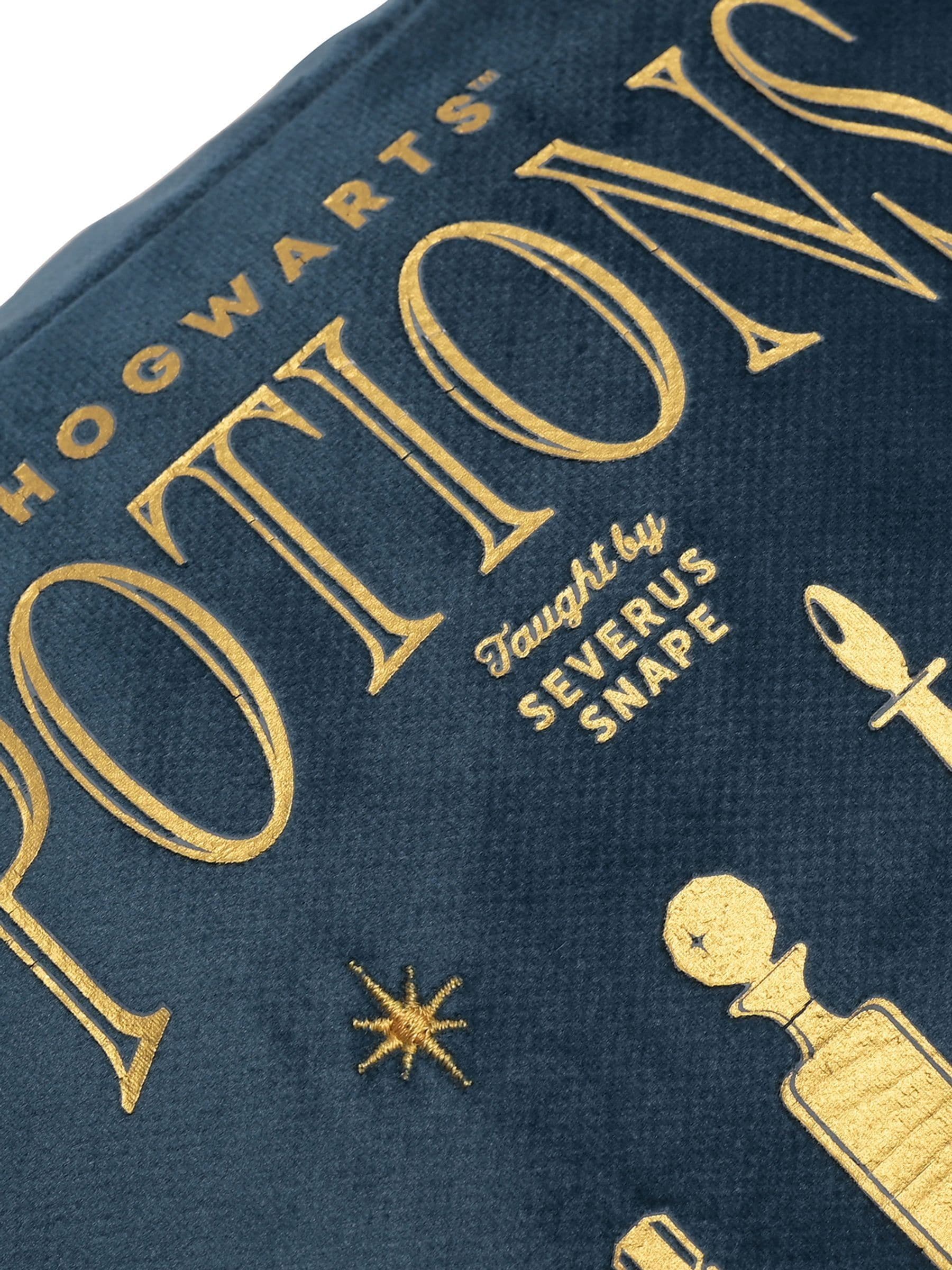 Harry Potter blue velvet Potions wash bag, imported from the UK