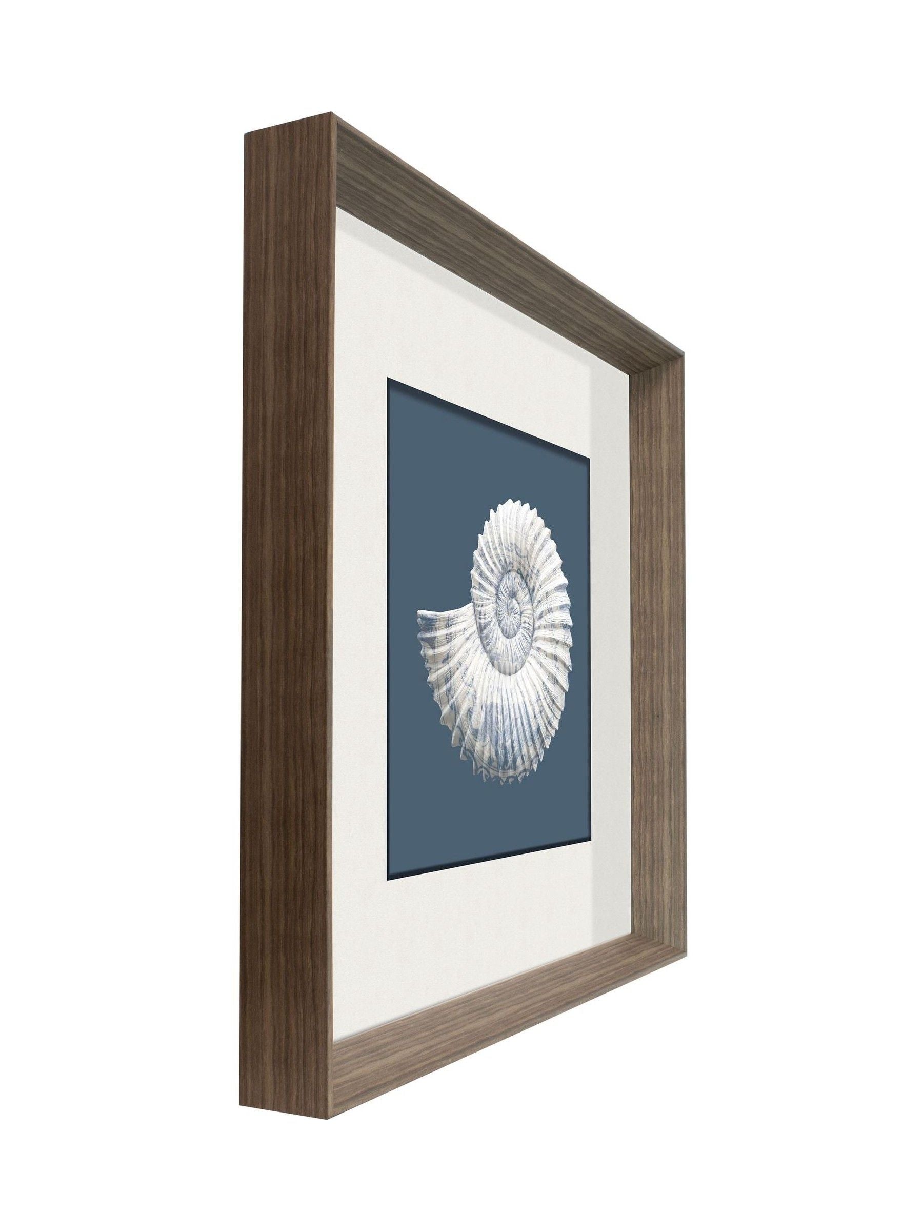 Brookpace blue white porcelain nautilus shell wall art 56cm - British product