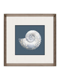 Brookpace blue white porcelain nautilus shell wall art 56cm - British product