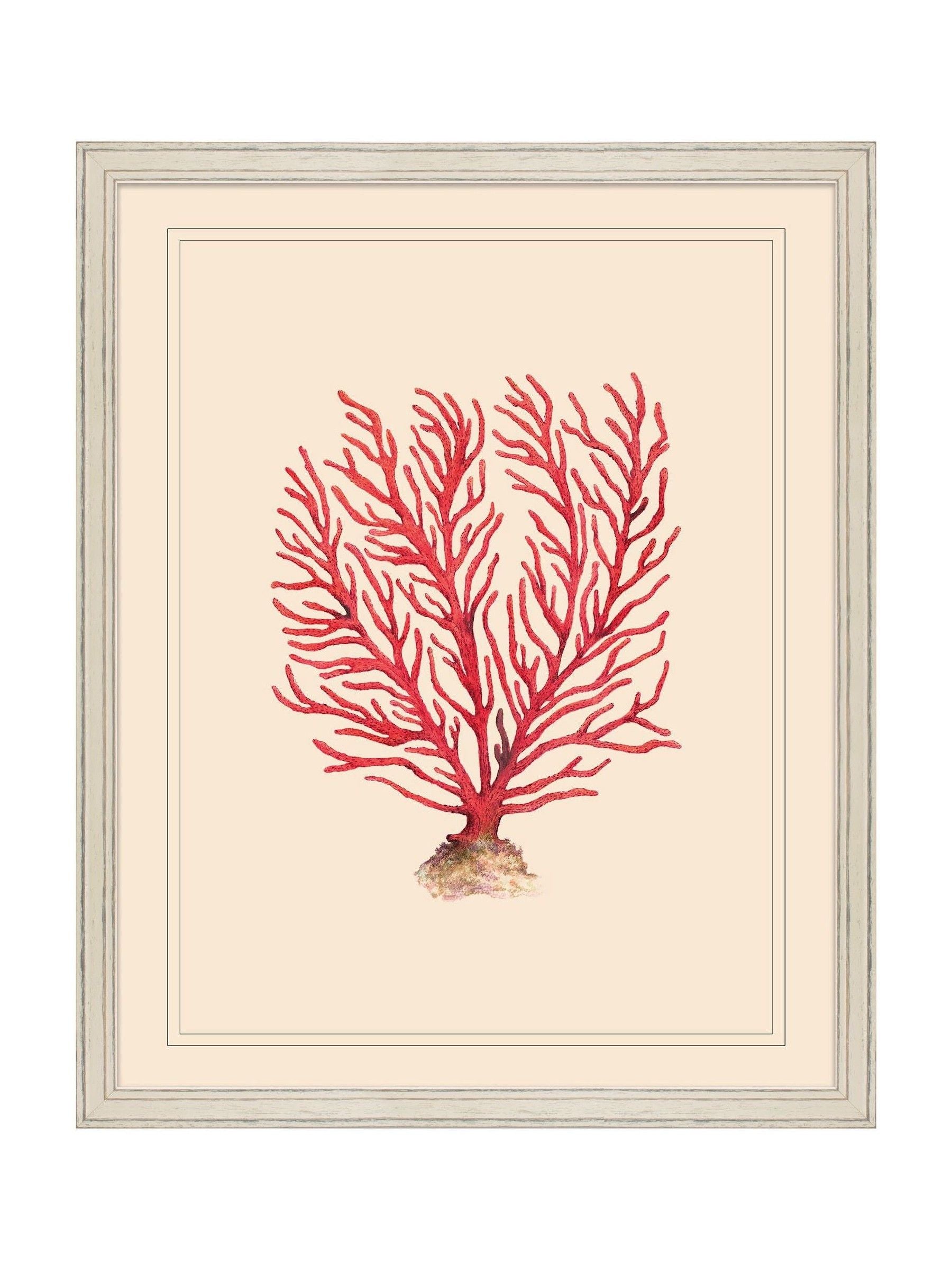 Brookpace Lascelles red and white coral wall art frame 55x45cm - British product