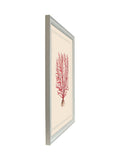 Brookpace Lascelles red and white coral wall art frame 55x45cm - British product