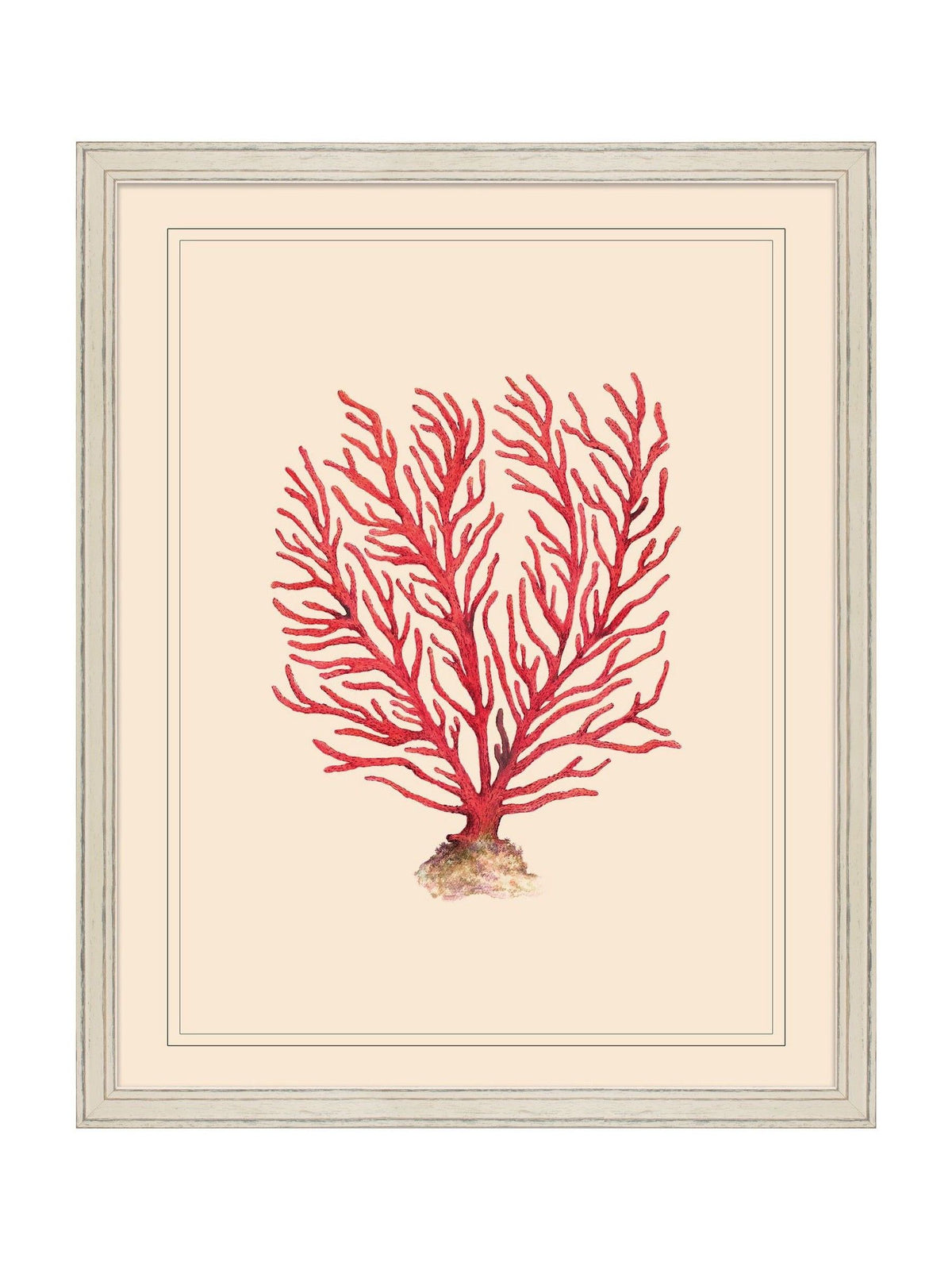 Brookpace Lascelles red and white coral wall art frame 55x45cm - British product